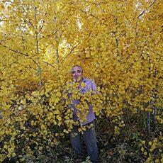 Фотография мужчины Ринат, 60 лет из г. Челябинск