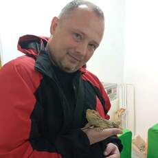 Фотография мужчины Алексей, 41 год из г. Витебск