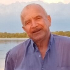 Владимир, 65 из г. Лиски.