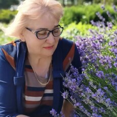 Фотография девушки Валентина, 62 года из г. Москва