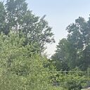 Алтуша, 41 год