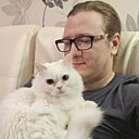 Дмитрий, 31 год