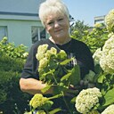 Елена, 63 года