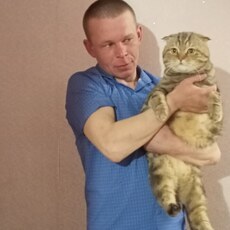 Фотография мужчины Владимир, 41 год из г. Кострома