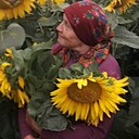 Незнакомка, 55 лет