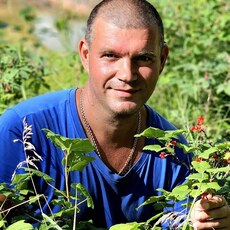 Фотография мужчины Сергей, 45 лет из г. Хабаровск