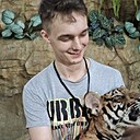 Лев, 22 года