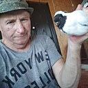 Владимир, 62 года
