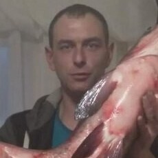 Фотография мужчины Сергей, 37 лет из г. Мамонтово