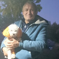 Владимир, 67 из г. Москва.