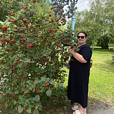 Фотография девушки Валентина, 64 года из г. Жезказган