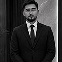 Лис, 26 лет