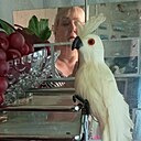 Светлана, 55 лет