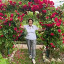 Алла, 68 лет