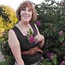 София, 50 лет