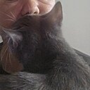 Artem, 39 лет