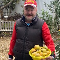 Денис, 49 из г. Краснодар.