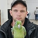 Серега, 33 года