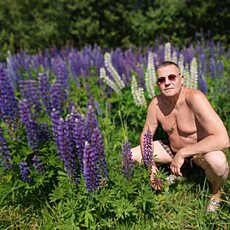 Дмитрий, 56 из г. Москва.