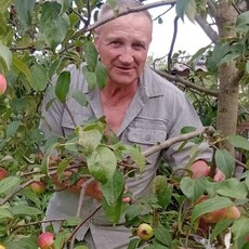 Фотография мужчины Сергей, 65 лет из г. Березино