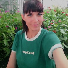 Наташа, 35 из г. Снежное.