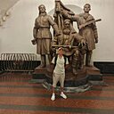 Алексей, 34 года
