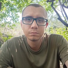Фотография мужчины Дмитрий, 32 года из г. Алатырь