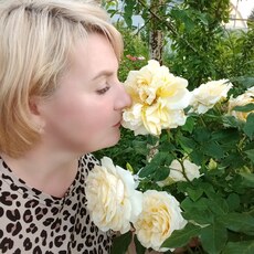 Фотография девушки Светлана, 47 лет из г. Старица
