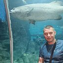 Алексей, 43 года