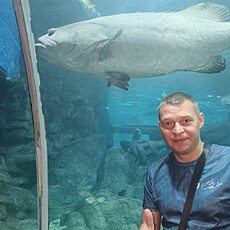 Фотография мужчины Алексей, 43 года из г. Пермь
