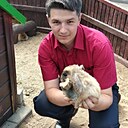 Vempire, 37 лет