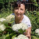 Лариса, 56 лет