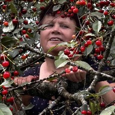 Фотография девушки Галина, 63 года из г. Минск