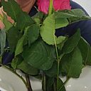Любовь, 46 лет