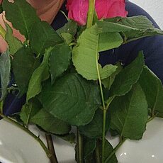 Фотография девушки Любовь, 46 лет из г. Одесса
