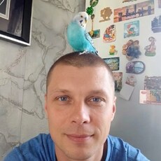 Фотография мужчины Алексей, 45 лет из г. Химки