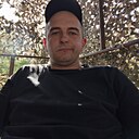 Ворон, 31 год