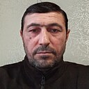 Сос, 50 лет
