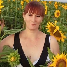 Елена, 50 из г. Краснодар.