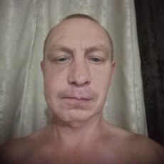 Фотография мужчины Андрей, 43 года из г. Гурьевск (Кемеровская Обл)