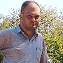 Вовк, 33 года