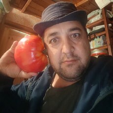Фотография мужчины Умед, 37 лет из г. Орехово-Зуево