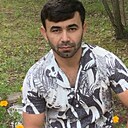 Нови, 31 год