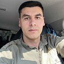 Амир, 28 лет