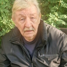 Фотография мужчины Дмитрий, 66 лет из г. Санкт-Петербург