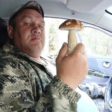 Фотография мужчины Maksim, 44 года из г. Череповец